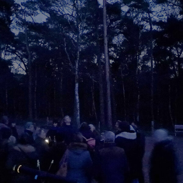 Darker Sky: Nachtspaziergang und Lichtinstallationen im Wildgehege Klöversteen